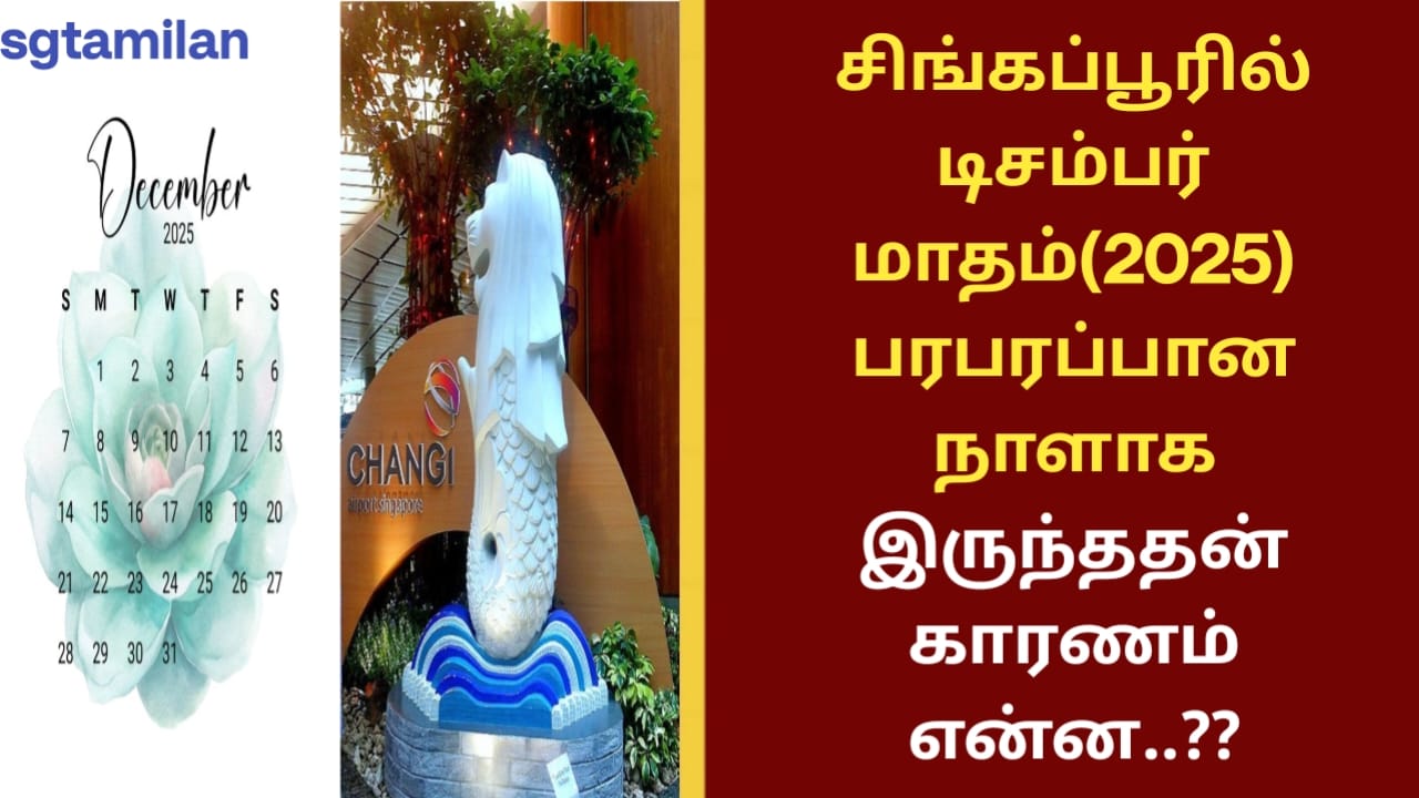 சிங்கப்பூரில் டிசம்பர் மாதம்(2025) பரபரப்பான நாளாக இருந்ததன் காரணம் என்ன..??