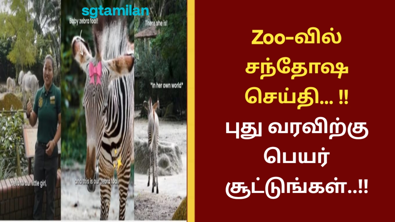 Zoo-வில் சந்தோஷ செய்தி… !!புது வரவிற்கு பெயர் சூட்டுங்கள்..!!