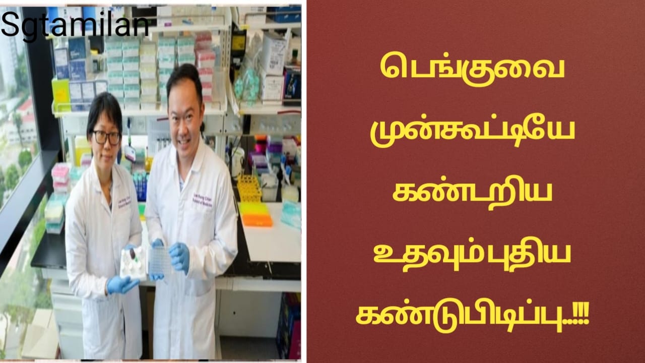 டெங்குவை முன்கூட்டியே கண்டறிய உதவும் புதிய கண்டுபிடிப்பு..!!!