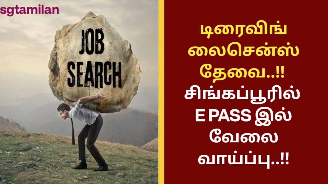 டிரைவிங் லைசென்ஸ் தேவை..!! சிங்கப்பூரில் E PASS இல் வேலை வாய்ப்பு..!!