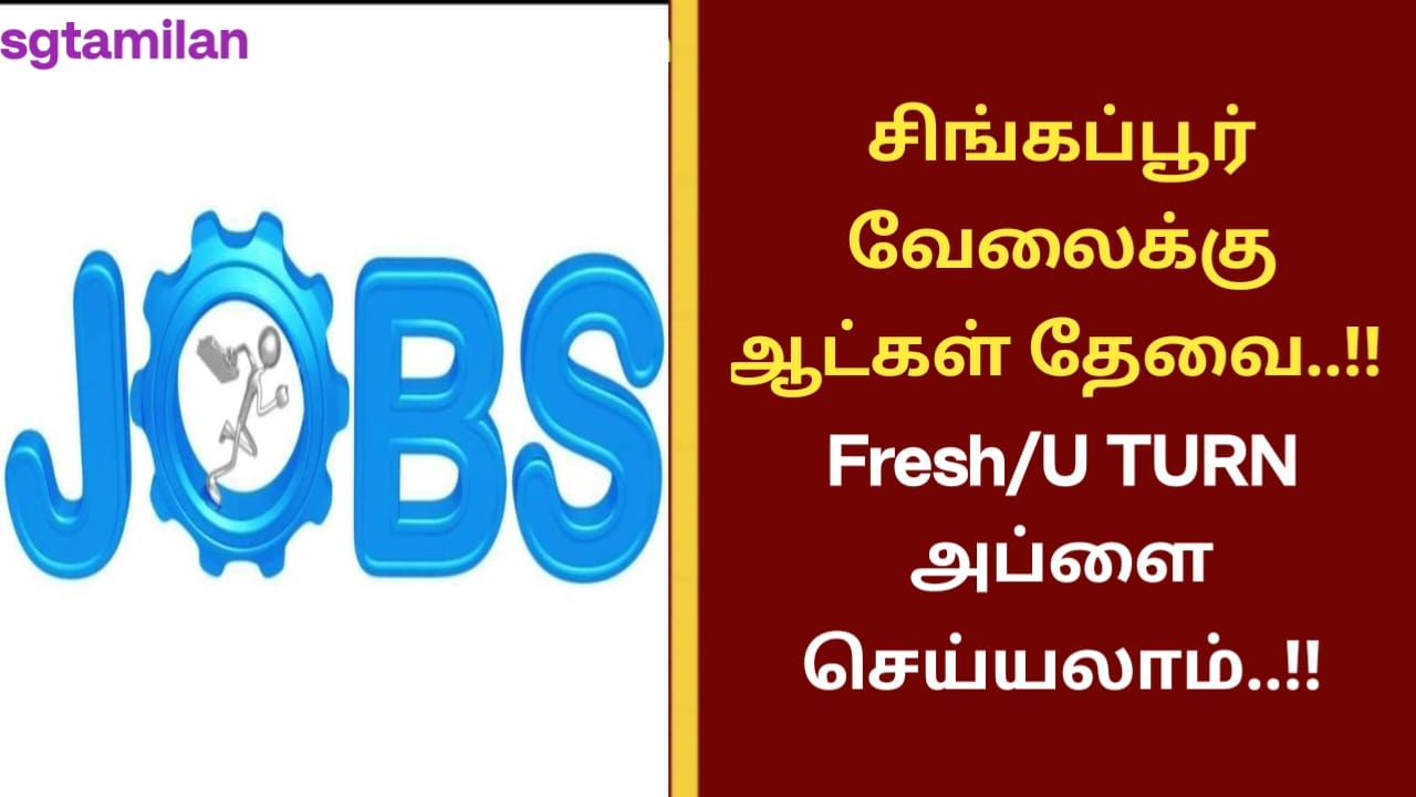 சிங்கப்பூர் வேலைக்கு ஆட்கள் தேவை..!! Fresh/U TURN அப்ளை செய்யலாம்..!!
