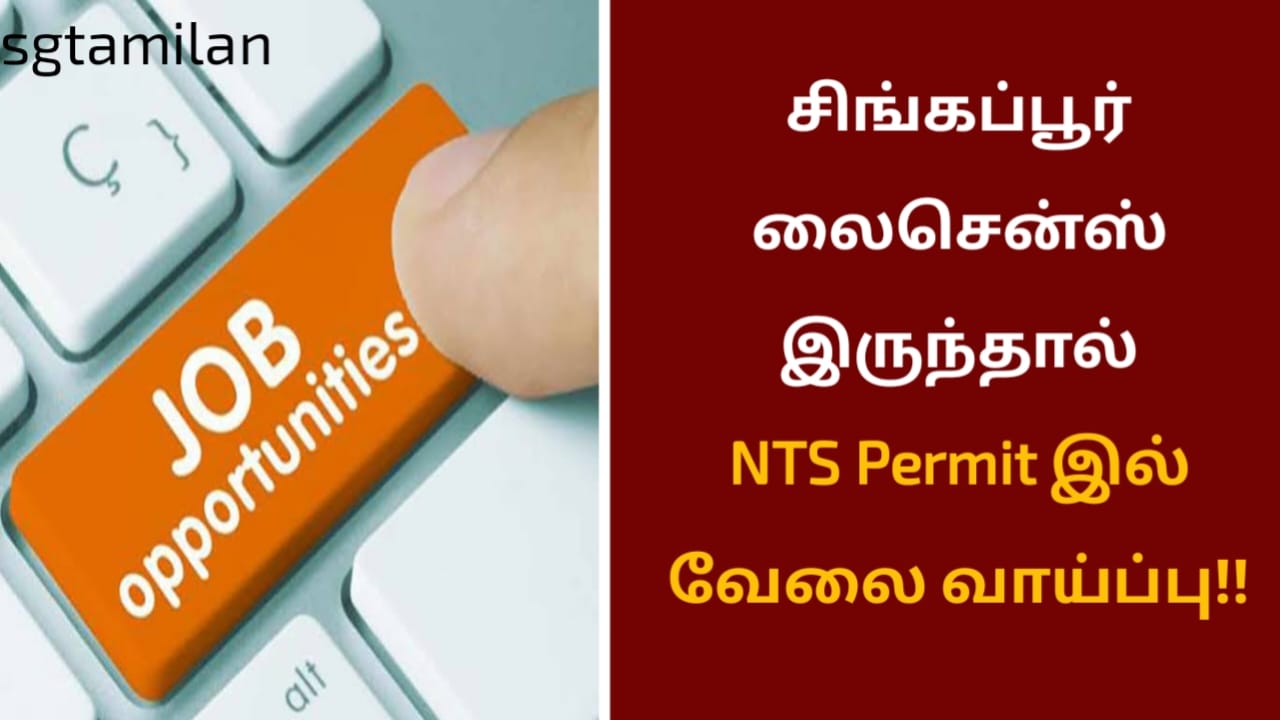 சிங்கப்பூர் லைசென்ஸ் இருந்தால் NTS Permit இல் வேலை வாய்ப்பு!!