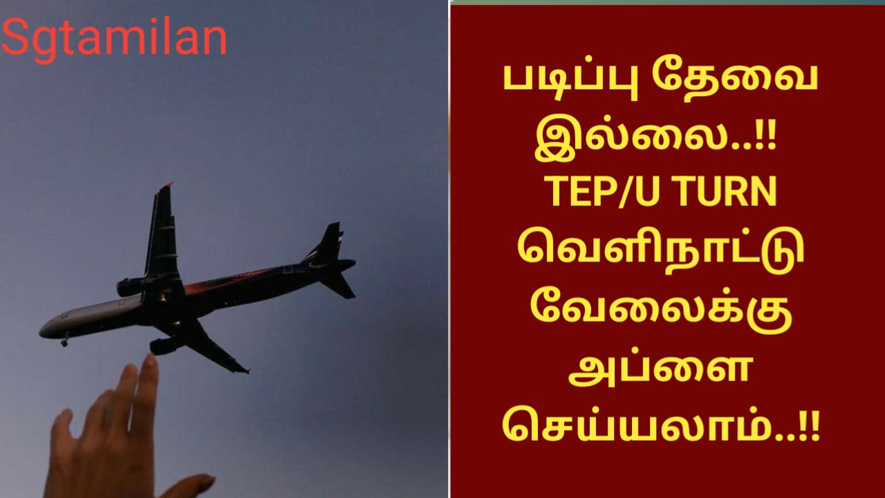படிப்பு தேவை இல்லை..!! TEP/U TURN வெளிநாட்டு வேலைக்கு அப்ளை செய்யலாம்..!!