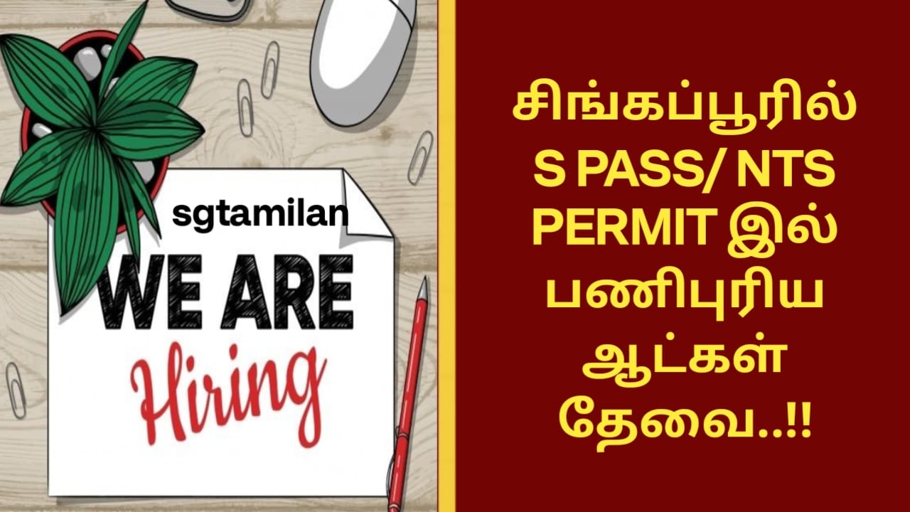 சிங்கப்பூரில் S PASS/ NTS PERMIT இல் பணிபுரிய ஆட்கள் தேவை..!!