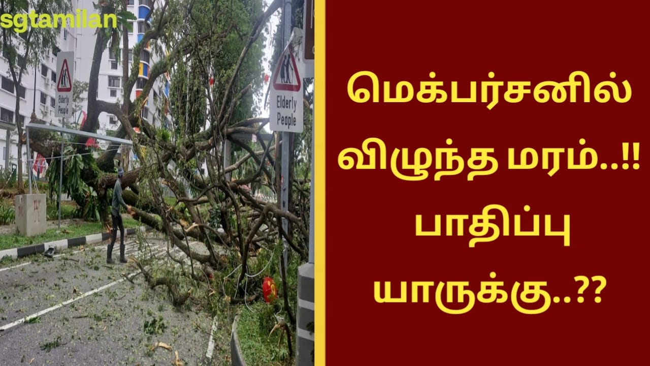 மெக்பர்சனில் விழுந்த மரம்..!! பாதிப்பு யாருக்கு..??
