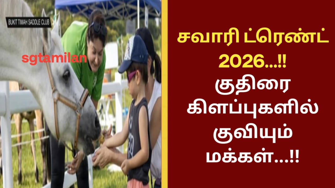 சவாரி ட்ரெண்ட் 2026…!!குதிரை கிளப்புகளில் குவியும் மக்கள்…!!