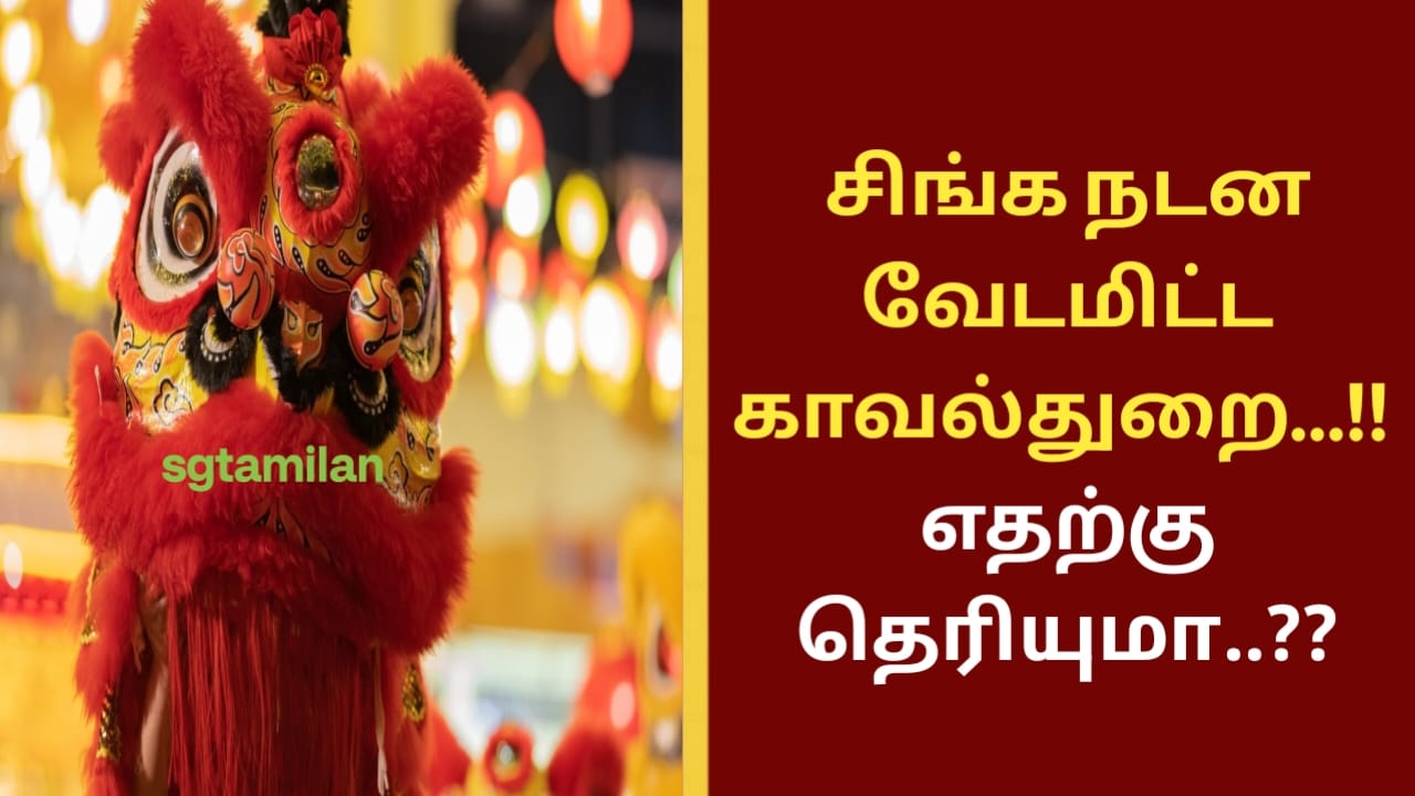 சிங்க நடன வேடமிட்ட காவல்துறை…!! எதற்கு தெரியுமா..??