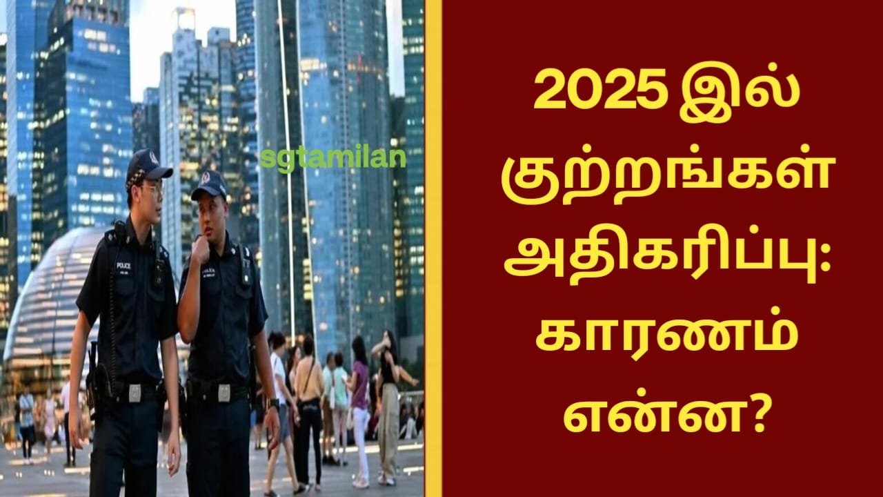 2025 இல் குற்றங்கள் அதிகரிப்பு: காரணம் என்ன?