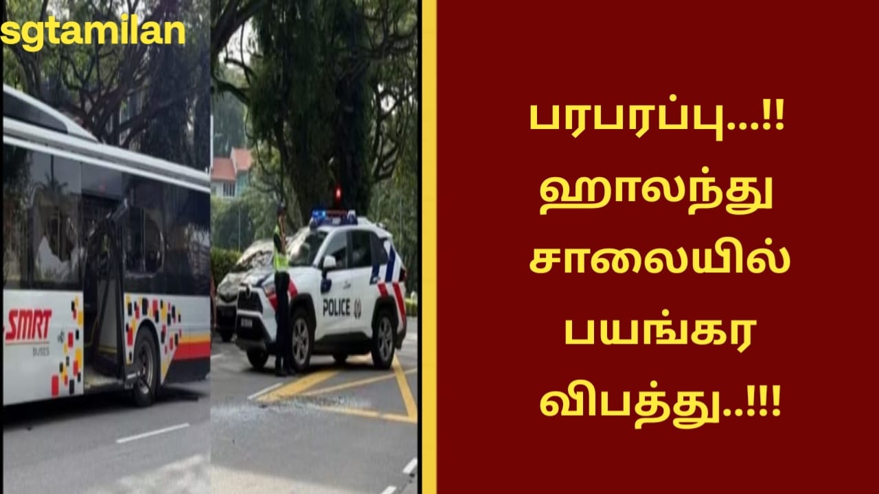 பரபரப்பு…!! ஹாலந்து சாலையில் பயங்கர விபத்து..!!!