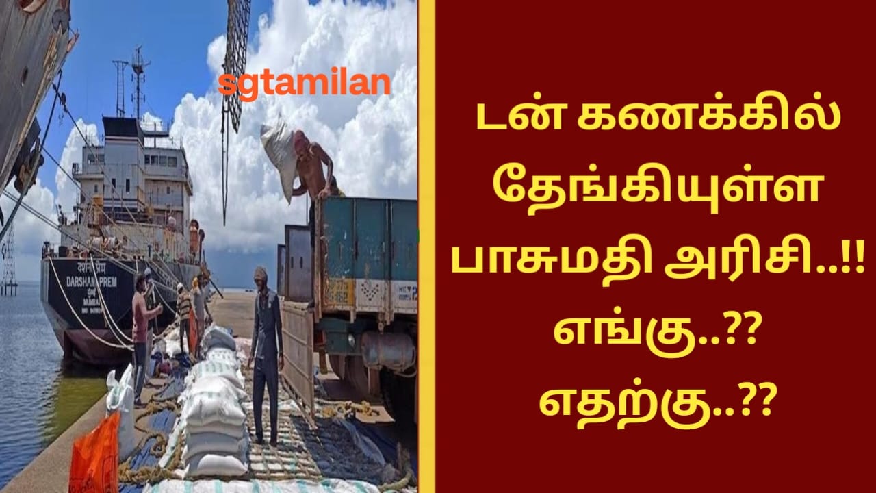 டன் கணக்கில் தேங்கியுள்ள பாசுமதி அரிசி..!! எங்கு..?? எதற்கு..??