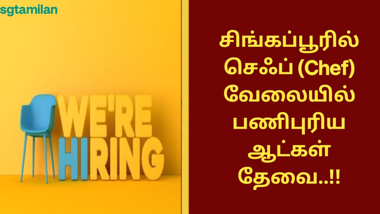 சிங்கப்பூரில் செஃப் (Chef) வேலையில் பணிபுரிய ஆட்கள் தேவை..!!