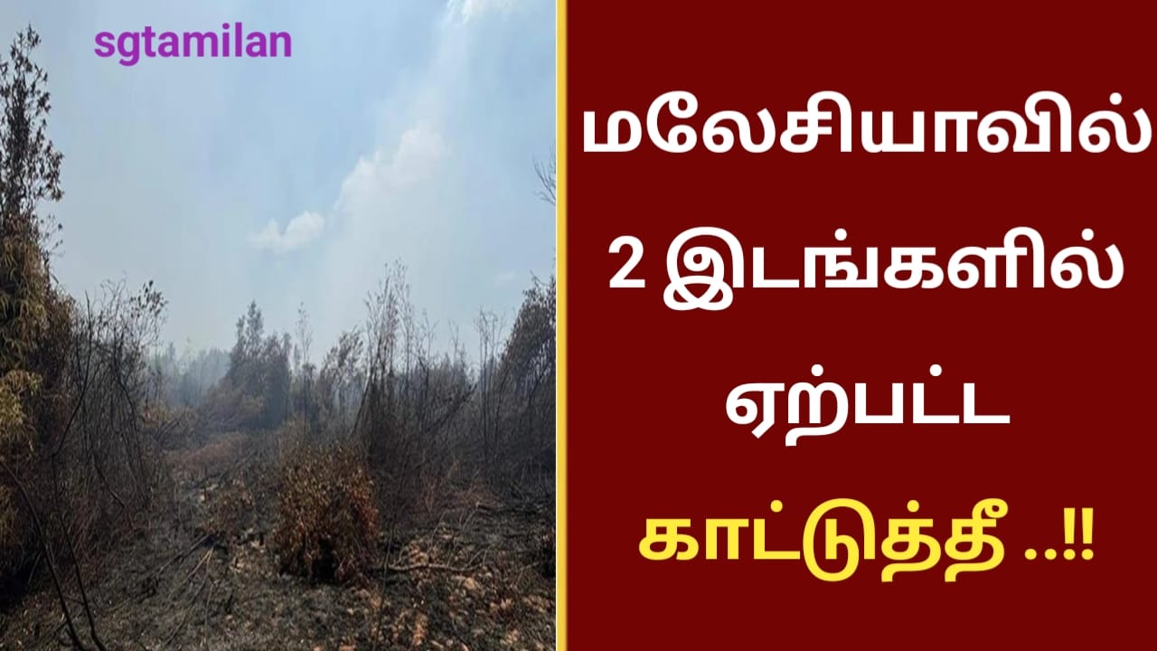 மலேசியாவில் 2 இடங்களில் ஏற்பட்ட காட்டுத்தீ ..!!