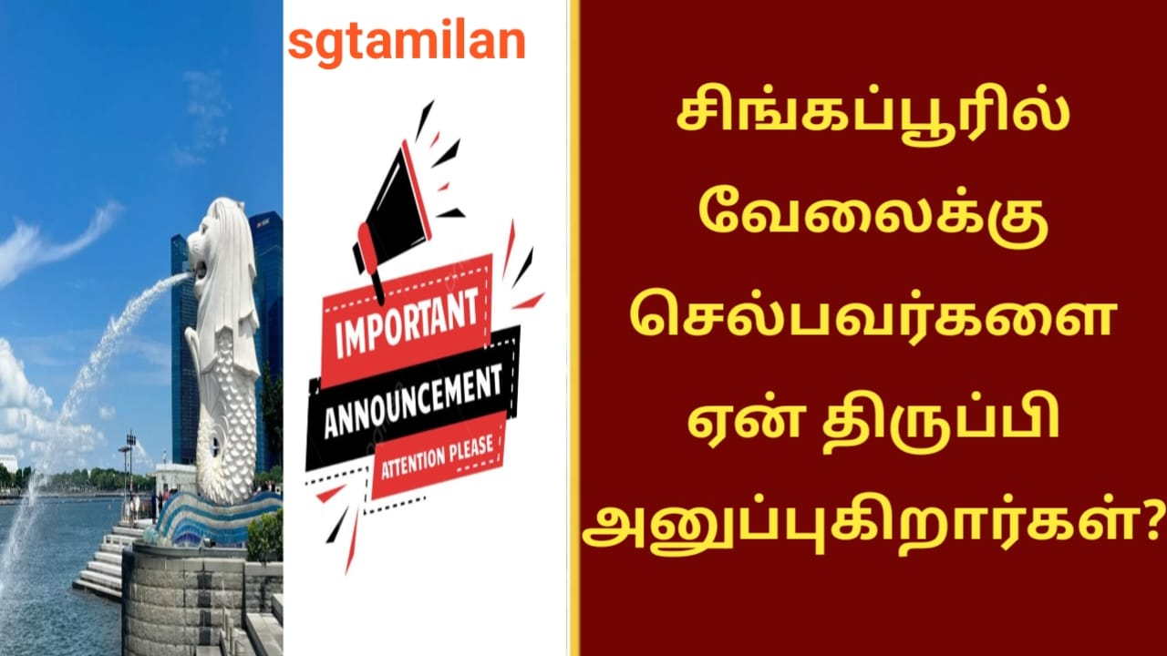சிங்கப்பூரில் வேலைக்கு செல்பவர்களை ஏன் திருப்பி அனுப்புகிறார்கள்?