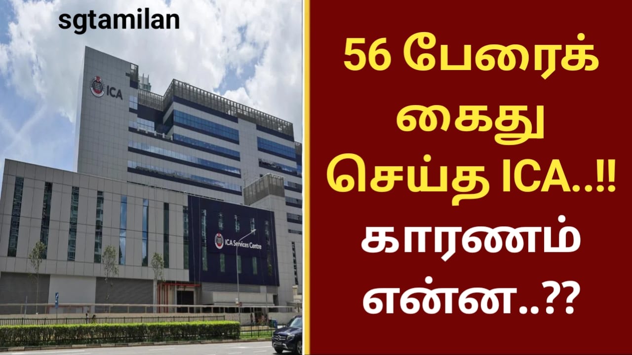 56 பேரைக் கைது செய்த ICA..!!காரணம் என்ன..??