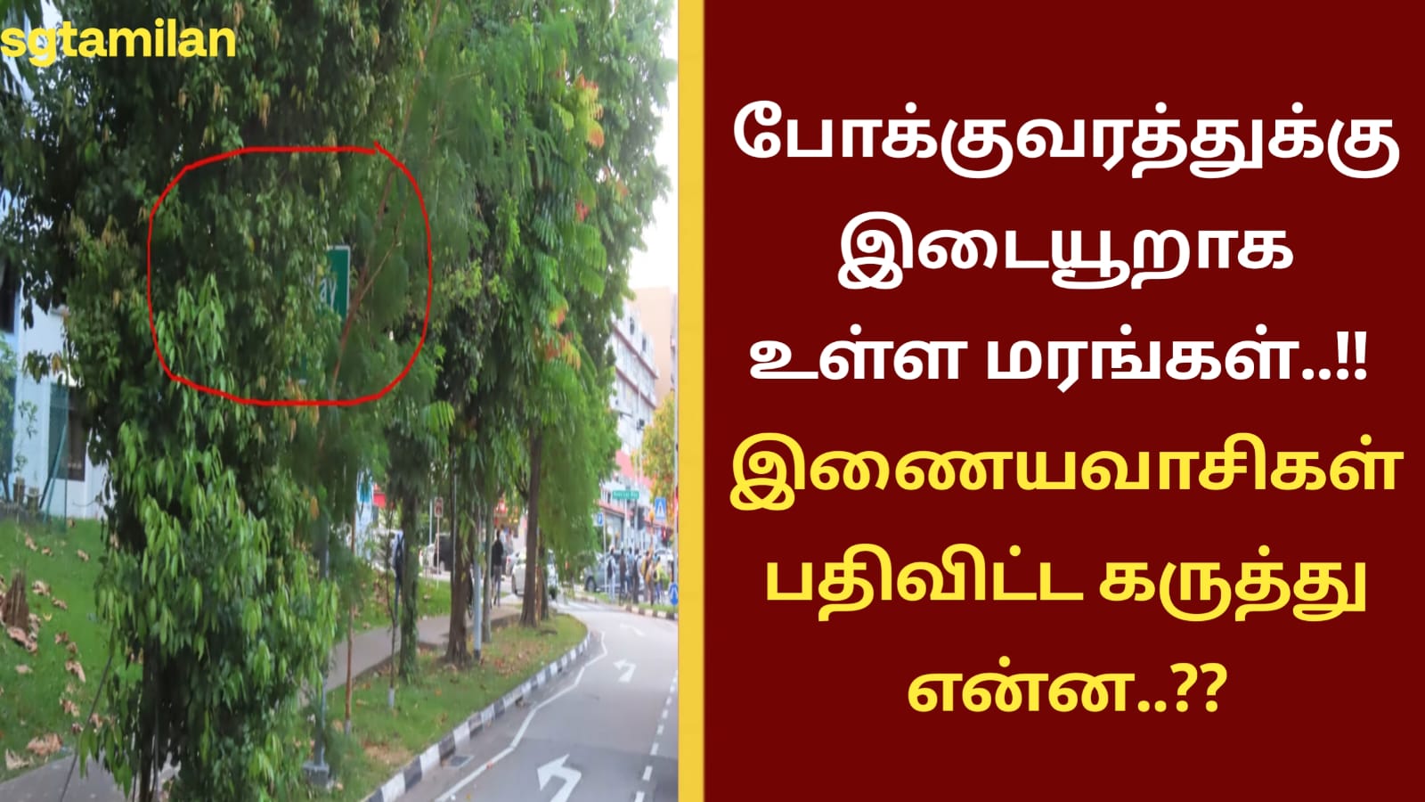 போக்குவரத்துக்கு இடையூறாக உள்ள மரங்கள்..!! இணையவாசிகள் பதிவிட்ட கருத்து என்ன..??