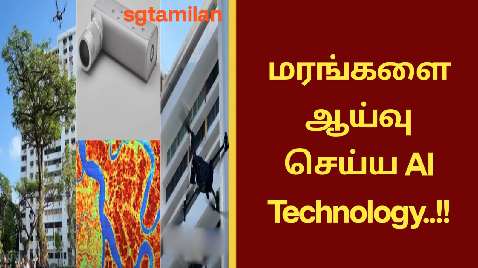 மரங்களை ஆய்வு செய்ய AI Technology..!!