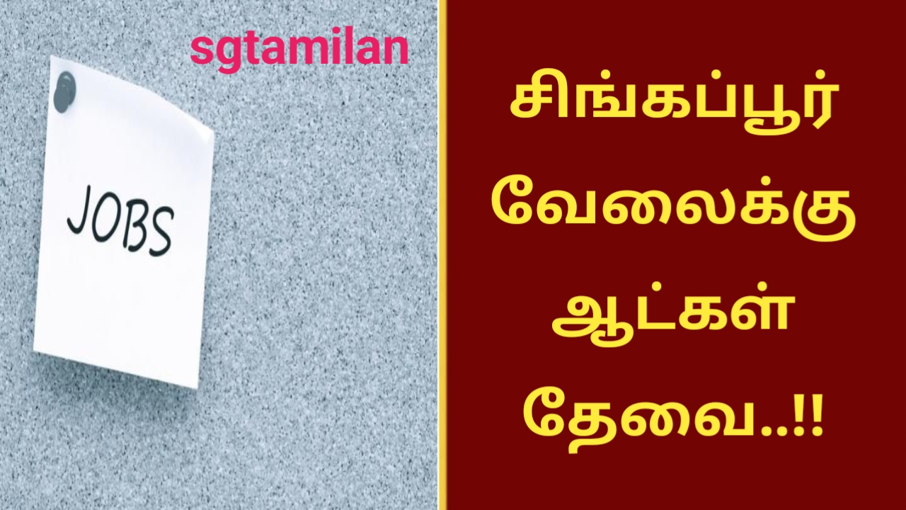 சிங்கப்பூர் வேலைக்கு ஆட்கள் தேவை..!!