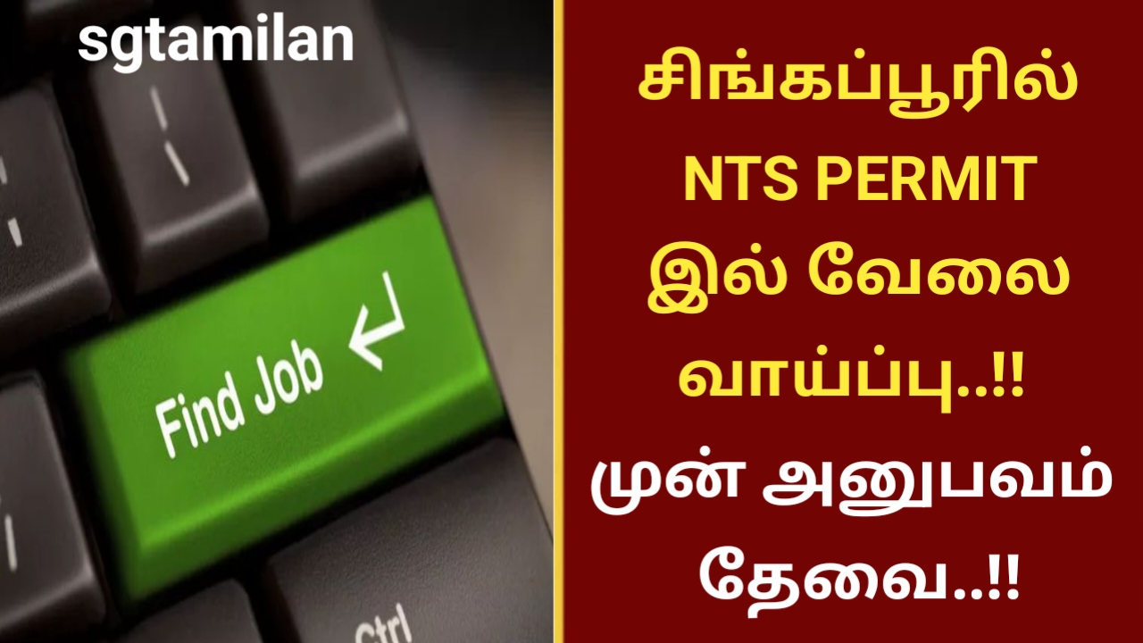 சிங்கப்பூரில் NTS PERMIT இல் வேலை வாய்ப்பு..!! முன் அனுபவம் தேவை..!!