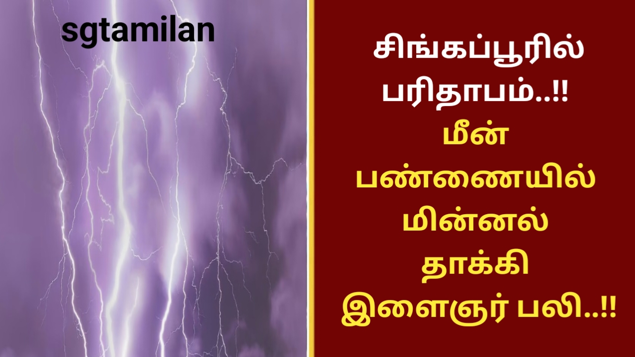 சிங்கப்பூரில் பரிதாபம்..!! மீன் பண்ணையில் மின்னல் தாக்கி இளைஞர் பலி..!!