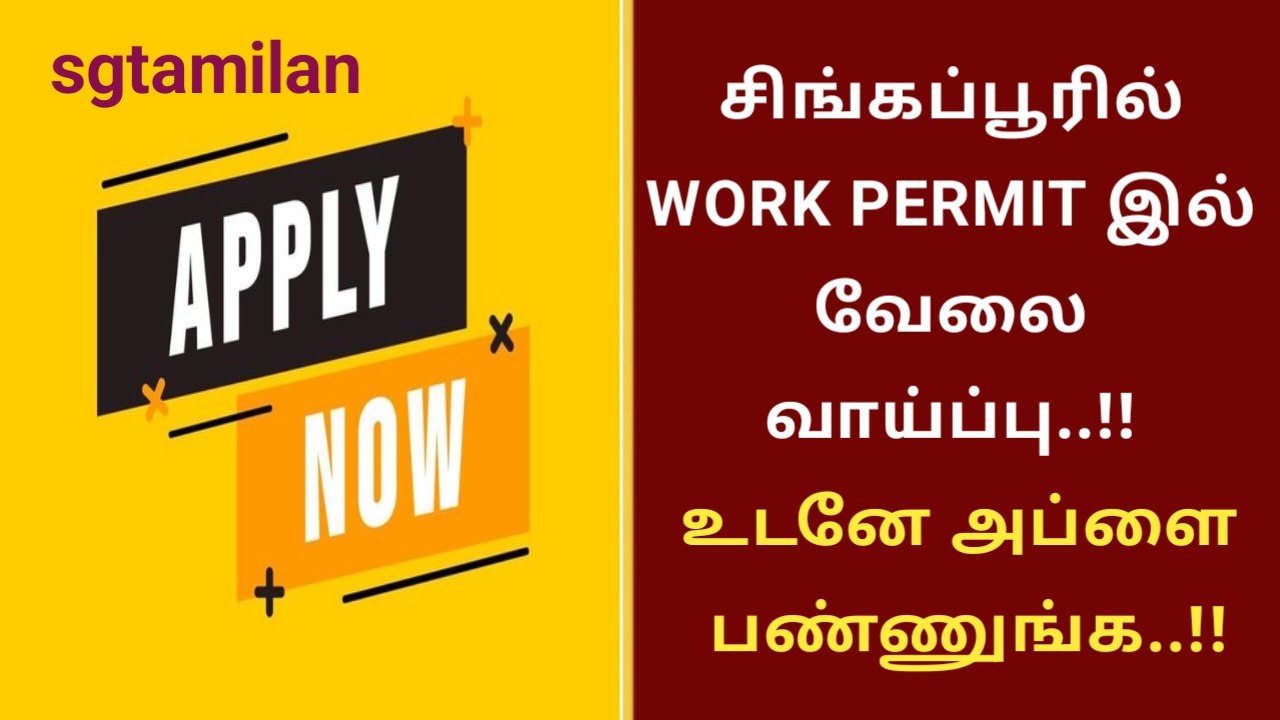 சிங்கப்பூரில் WORK PERMIT இல் வேலை வாய்ப்பு..!! உடனே அப்ளை பண்ணுங்க..!!