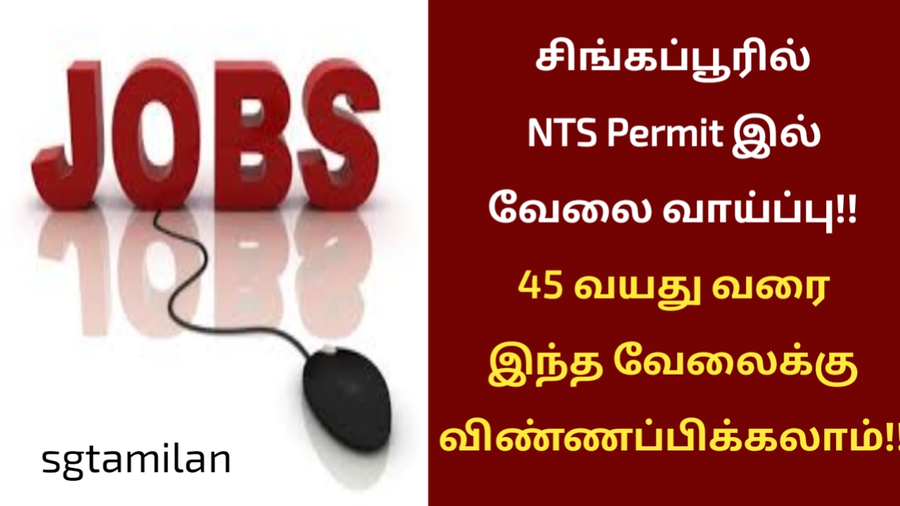 சிங்கப்பூரில் NTS Permit இல் வேலை வாய்ப்பு!! 45 வயது வரை இந்த வேலைக்கு விண்ணப்பிக்கலாம்!!
