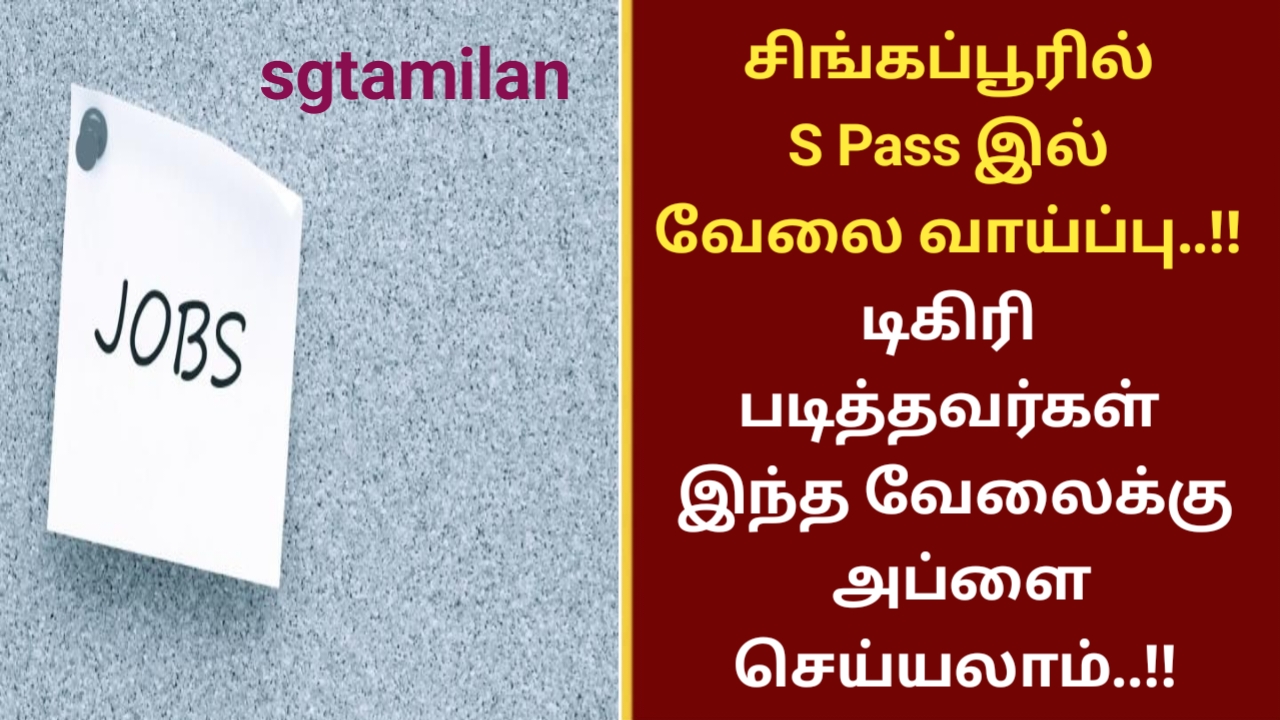 சிங்கப்பூரில் S Pass இல் வேலை வாய்ப்பு..!! டிகிரி படித்தவர்கள் இந்த வேலைக்கு அப்ளை செய்யலாம்..!!