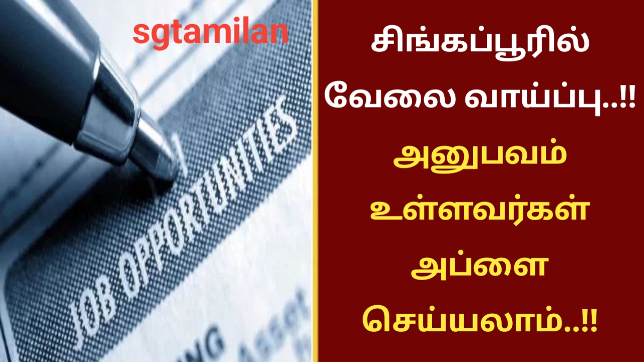 சிங்கப்பூரில் வேலை வாய்ப்பு..!! அனுபவம் உள்ளவர்கள் அப்ளை செய்யலாம்..!!