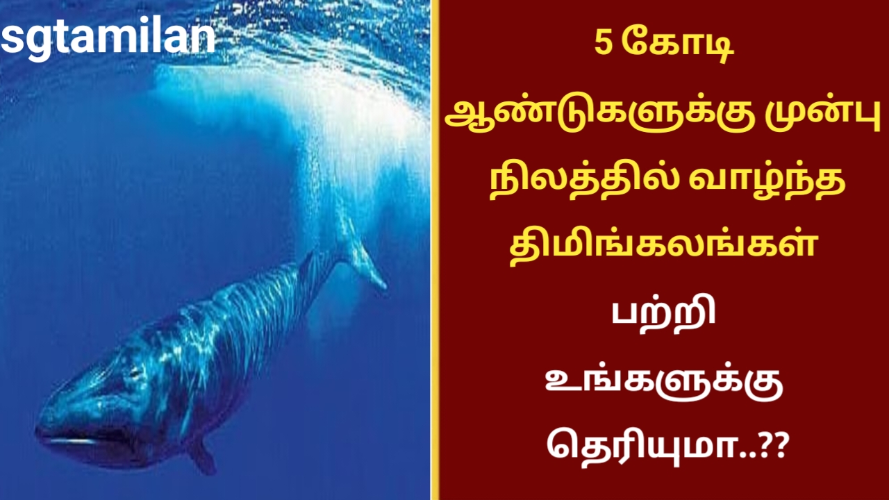 5 கோடி ஆண்டுகளுக்கு முன்பு நிலத்தில் வாழ்ந்த திமிங்கலங்கள் பற்றி உங்களுக்கு தெரியுமா..??