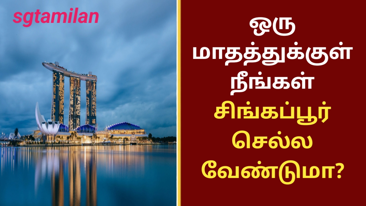 ஒரு மாதத்துக்குள் நீங்கள் சிங்கப்பூர் செல்ல வேண்டுமா?