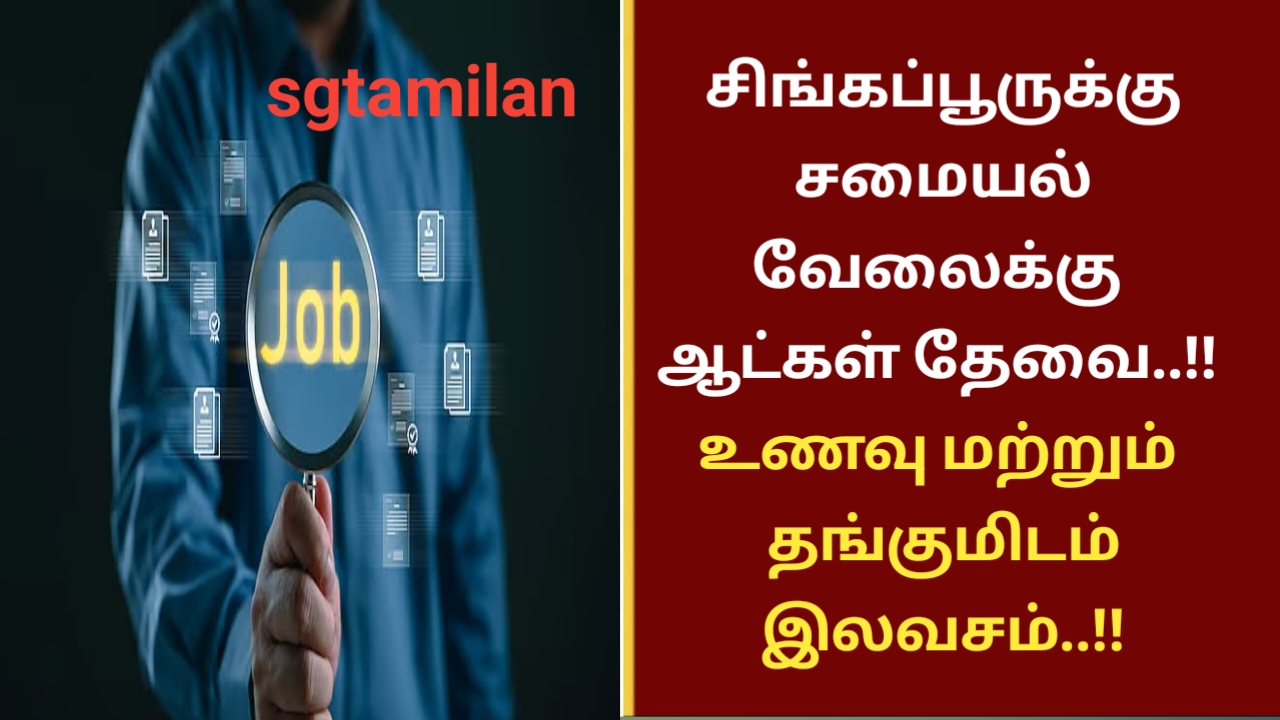 சிங்கப்பூருக்கு சமையல் வேலைக்கு ஆட்கள் தேவை..!! உணவு மற்றும் தங்குமிடம் இலவசம்..!!