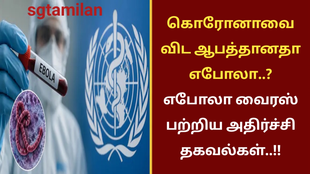 கொரோனாவை விட ஆபத்தானதா எபோலா..?எபோலா வைரஸ் பற்றிய அதிர்ச்சி தகவல்கள்..!!