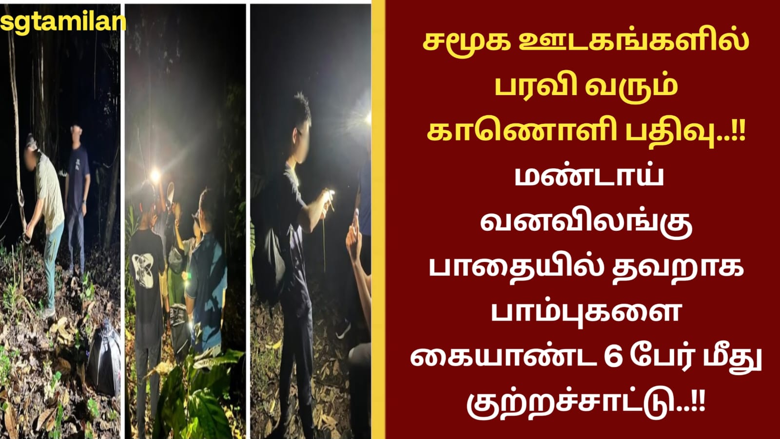 சமூக ஊடகங்களில் பரவி வரும் காணொளி பதிவு..!! மண்டாய் வனவிலங்கு பாதையில் தவறாக பாம்புகளை கையாண்ட 6 பேர் மீது குற்றச்சாட்டு..!!