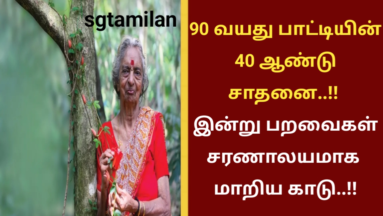 90 வயது பாட்டியின் 40 ஆண்டு சாதனை..!! இன்று பறவைகள் சரணாலயமாக மாறிய காடு..!!