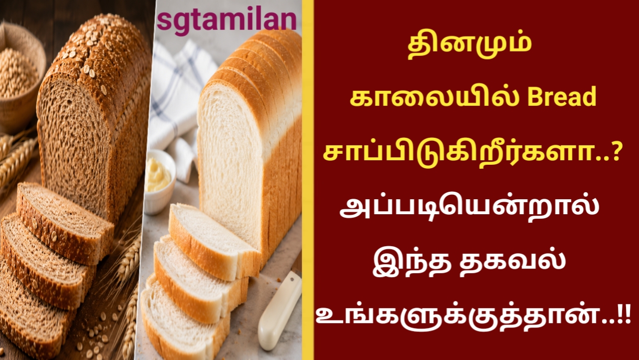 தினமும் காலையில் Bread சாப்பிடுகிறீர்களா..? அப்படியென்றால் இந்த தகவல் உங்களுக்குத்தான்..!!