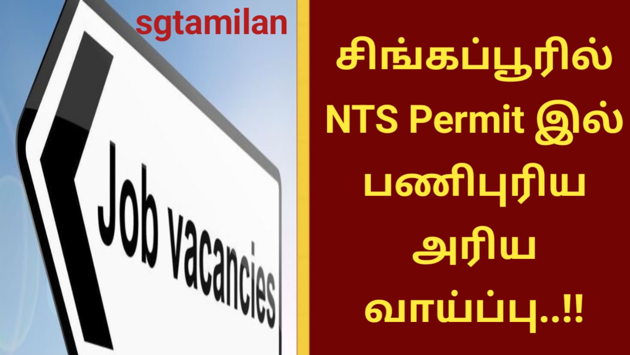 சிங்கப்பூரில் NTS Permit இல் பணிபுரிய அரிய வாய்ப்பு..!!