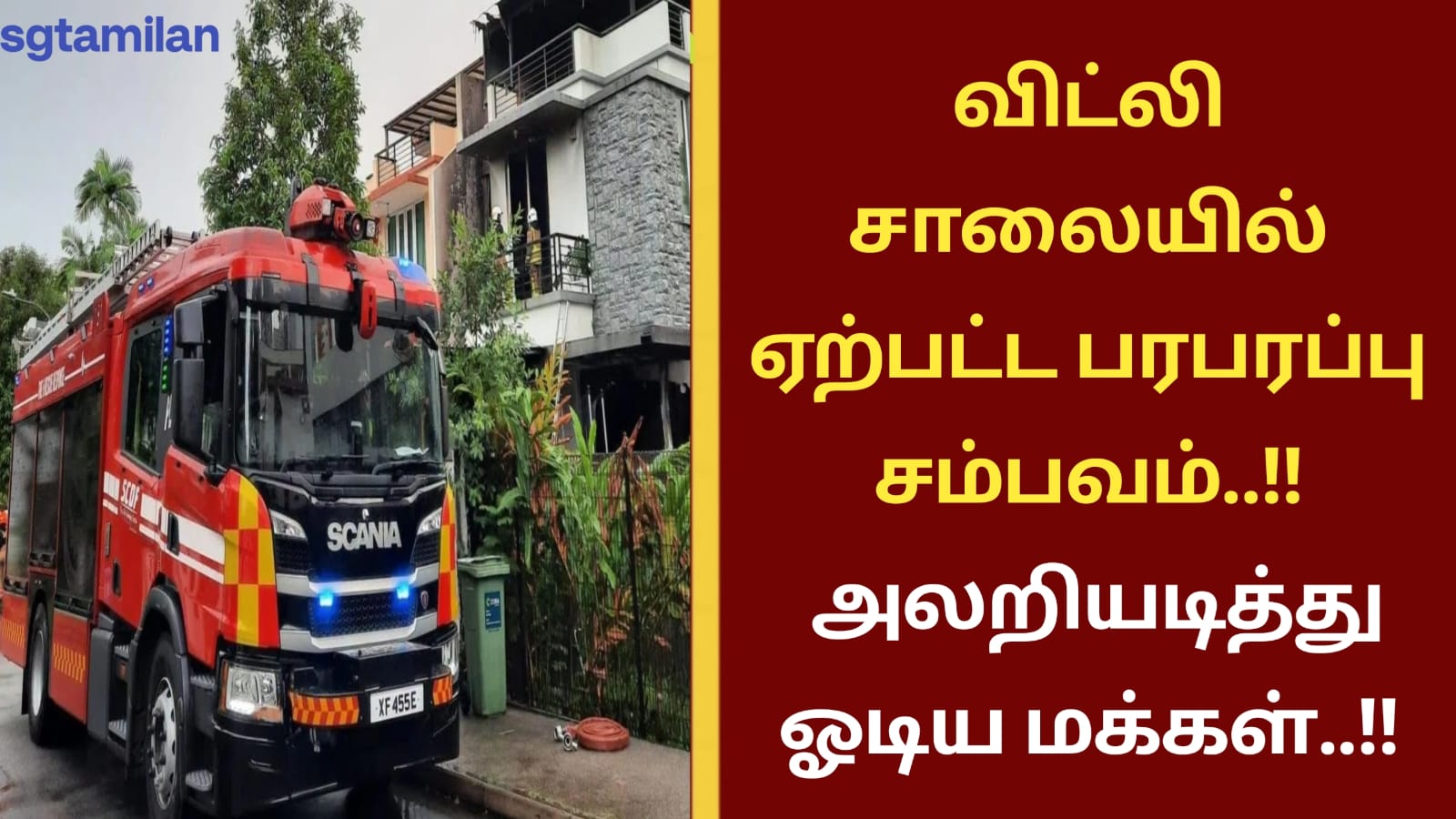 விட்லி சாலையில் ஏற்பட்ட பரபரப்பு சம்பவம்..!! அலறியடித்து ஓடிய மக்கள்..!!