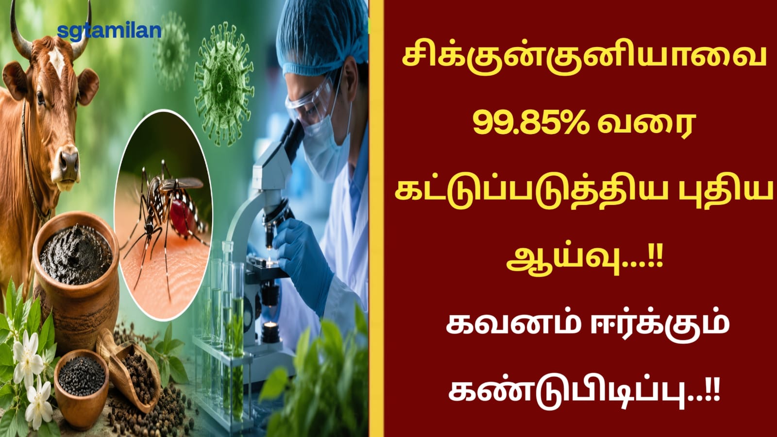 சிக்குன்குனியாவை 99.85% வரை கட்டுப்படுத்திய புதிய ஆய்வு…!! கவனம் ஈர்க்கும் கண்டுபிடிப்பு..!!