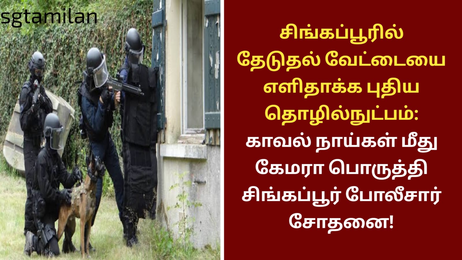 சிங்கப்பூரில் தேடுதல் வேட்டையை எளிதாக்க புதிய தொழில்நுட்பம்: காவல் நாய்கள் மீது கேமரா பொருத்தி சிங்கப்பூர் போலீசார் சோதனை!