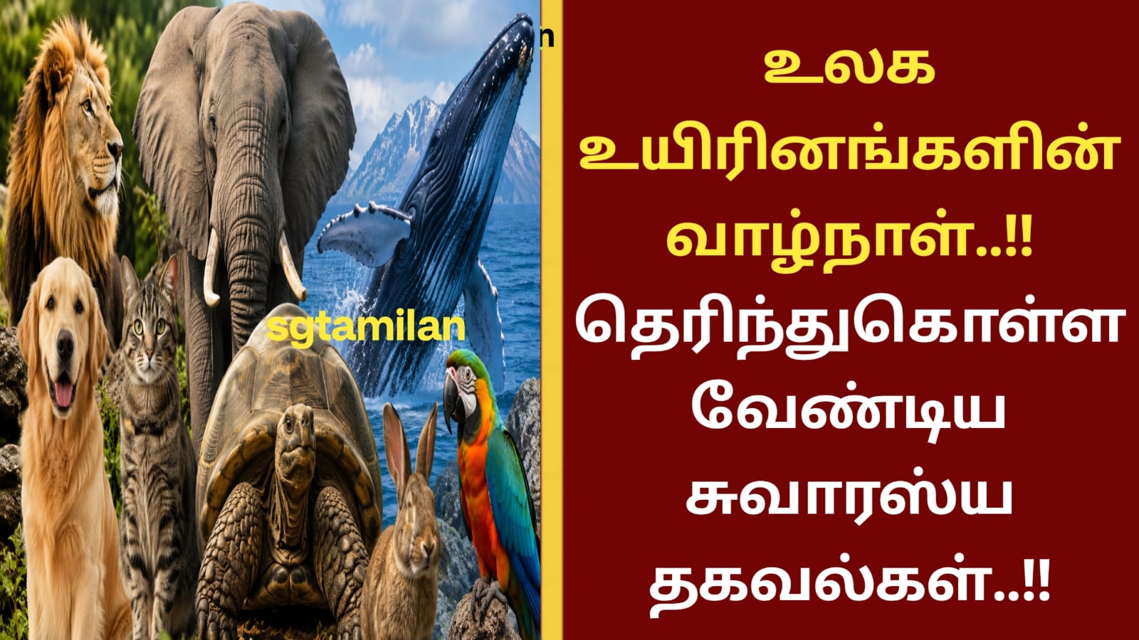 உலக உயிரினங்களின் வாழ்நாள்..!! தெரிந்துகொள்ள வேண்டிய சுவாரஸ்ய தகவல்கள்..!!
