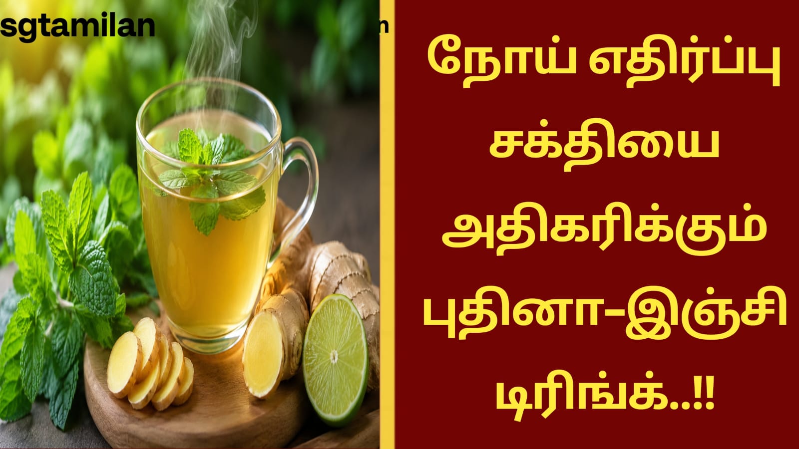 நோய் எதிர்ப்பு சக்தியை அதிகரிக்கும் புதினா–இஞ்சி டிரிங்க்..!!