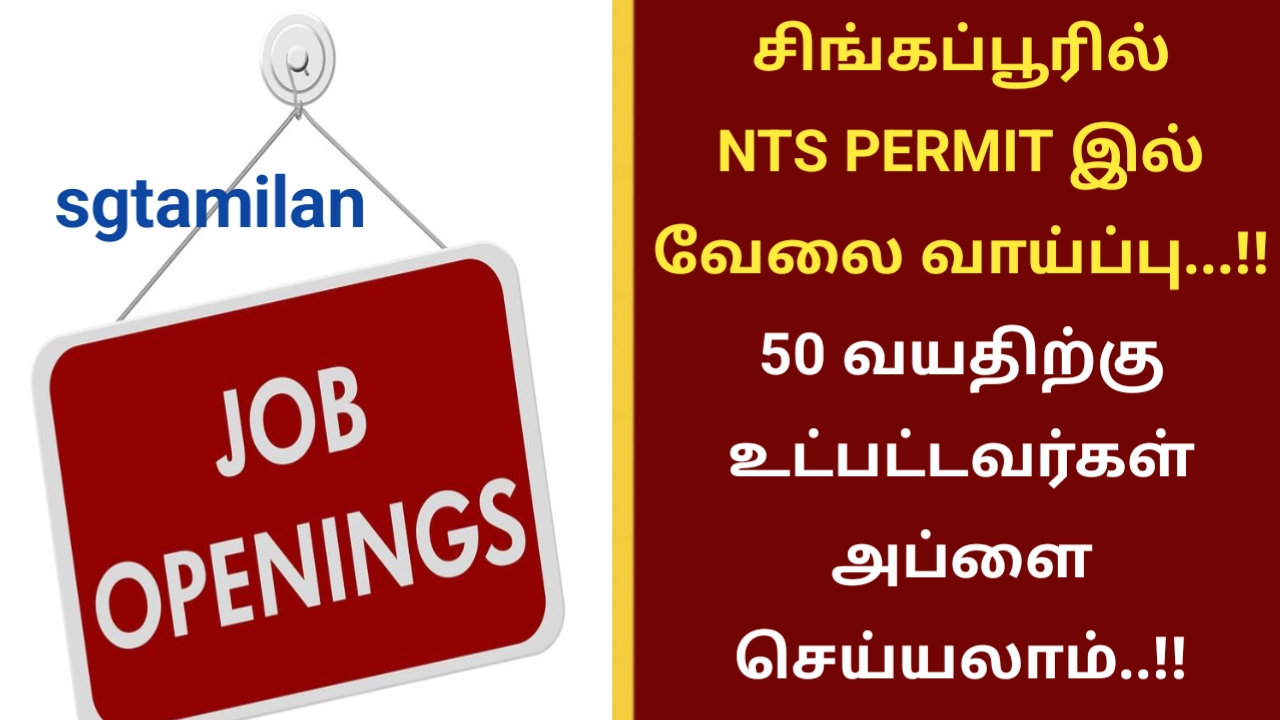 சிங்கப்பூரில் NTS PERMIT இல் வேலை வாய்ப்பு…!! 50 வயதிற்கு உட்பட்டவர்கள் அப்ளை செய்யலாம்..!!