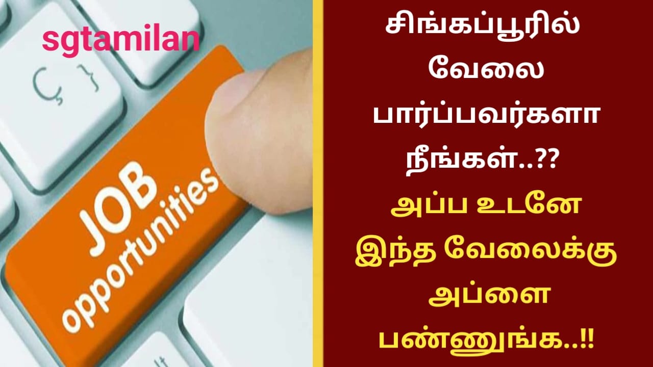 சிங்கப்பூரில் வேலை பார்ப்பவர்களா நீங்கள்..?? அப்போ உடனே இந்த வேலைக்கு அப்ளை பண்ணுங்க..!!
