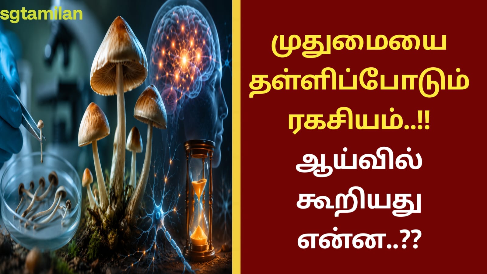 முதுமையை தள்ளிப்போடும் ரகசியம்..!! ஆய்வில் கூறியது என்ன..??
