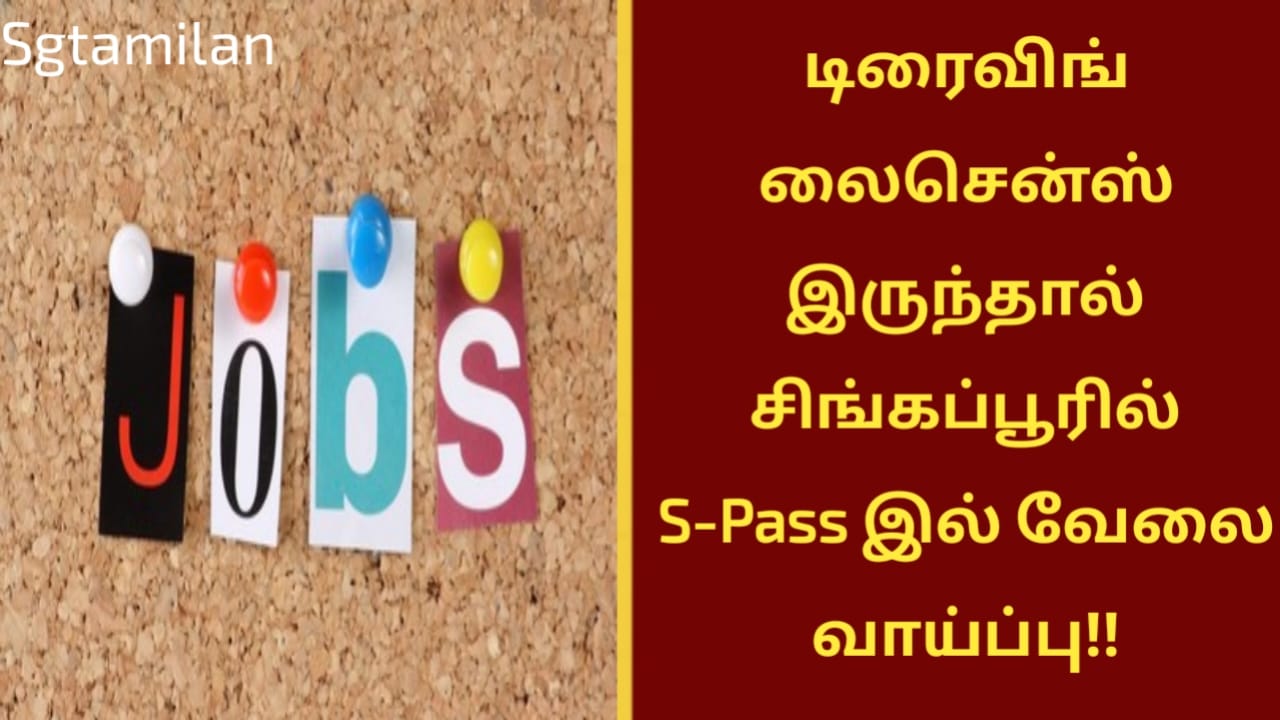 டிரைவிங் லைசென்ஸ் இருந்தால் சிங்கப்பூரில் S-Pass இல் வேலை வாய்ப்பு!!