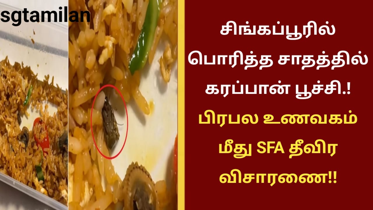 சிங்கப்பூரில் பொரித்த சாதத்தில் கரப்பான் பூச்சி.! பிரபல உணவகம் மீது SFA தீவிர விசாரணை!!