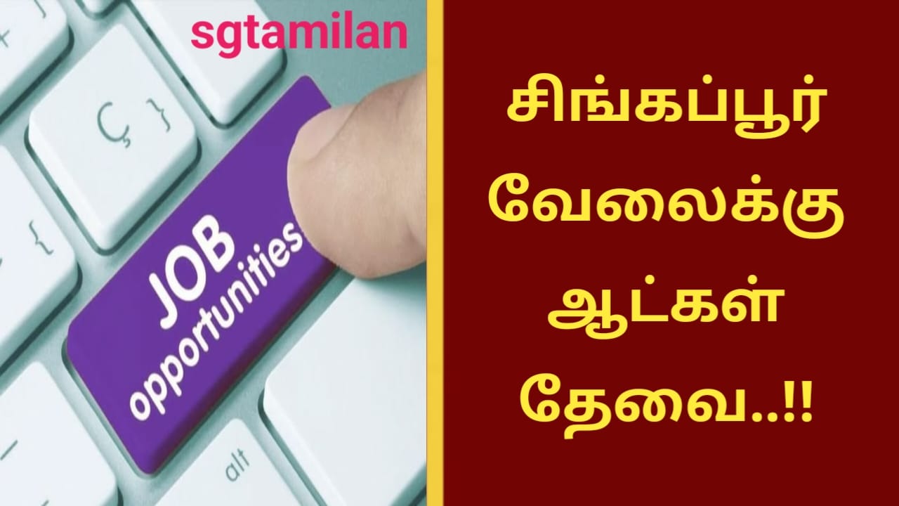 சிங்கப்பூர் வேலைக்கு ஆட்கள் தேவை..!!