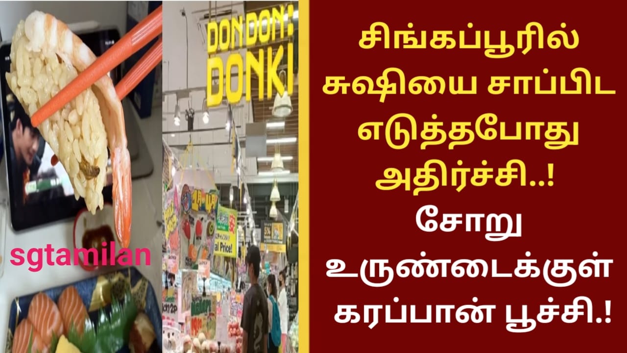 சிங்கப்பூரில் சுஷியை சாப்பிட எடுத்தபோது அதிர்ச்சி..! சோறு உருண்டைக்குள் கரப்பான் பூச்சி.!