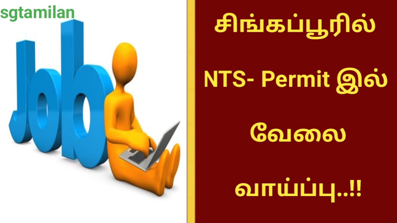 சிங்கப்பூரில் NTS- Permit இல் வேலை வாய்ப்பு..!!