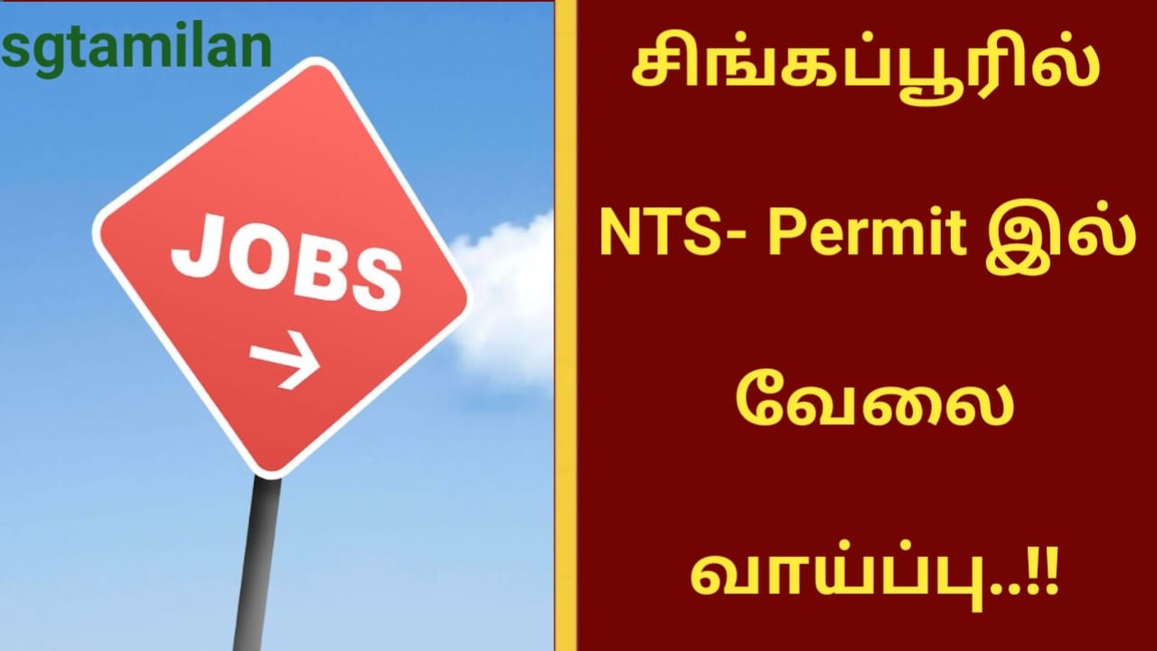 சிங்கப்பூரில் NTS- Permit இல் வேலை வாய்ப்பு..!!