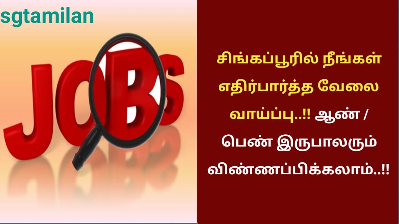 சிங்கப்பூரில் நீங்கள் எதிர்பார்த்த வேலை வாய்ப்பு..! ஆண் / பெண் இருபாலரும் விண்ணப்பிக்கலாம்!!